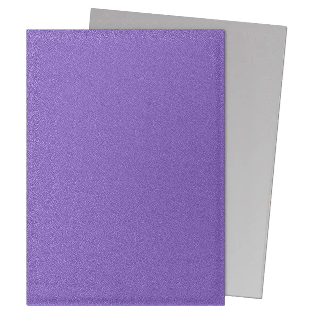 Dragon Shield: Dual Matte Sleeves - Nebula & Silver (100ct) - Image 2