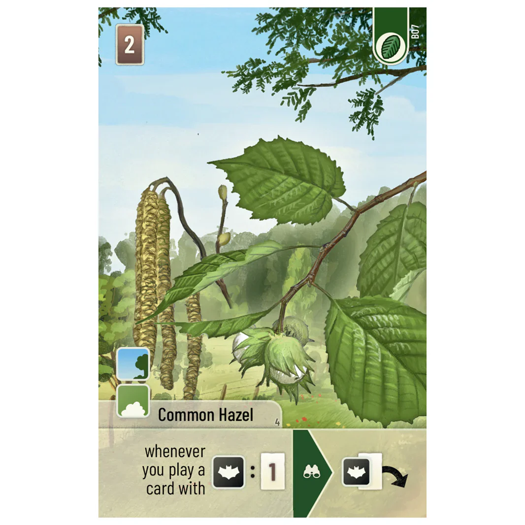 Forest Shuffle: Woodland Edge Expansion - Image 3